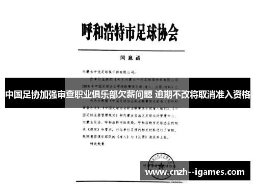 中国足协加强审查职业俱乐部欠薪问题 逾期不改将取消准入资格
